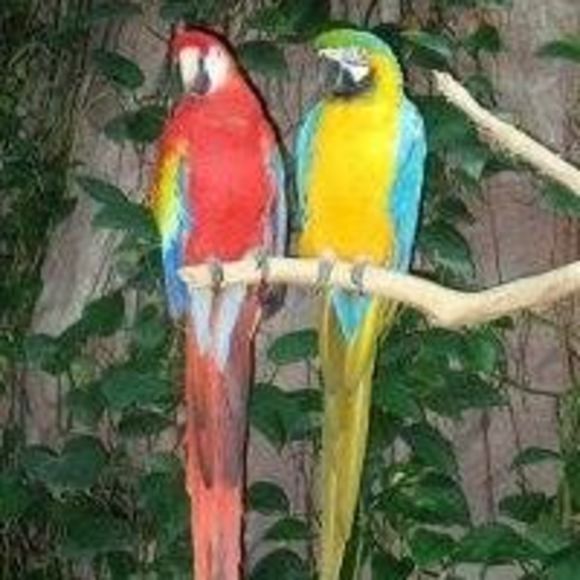 Meet your Posher, Kathy - Picture 1 of 1